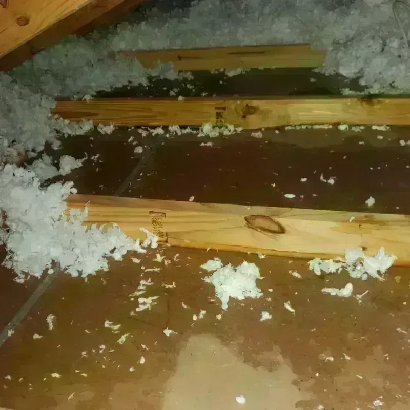 Attic Water Damage in Clymer, PA